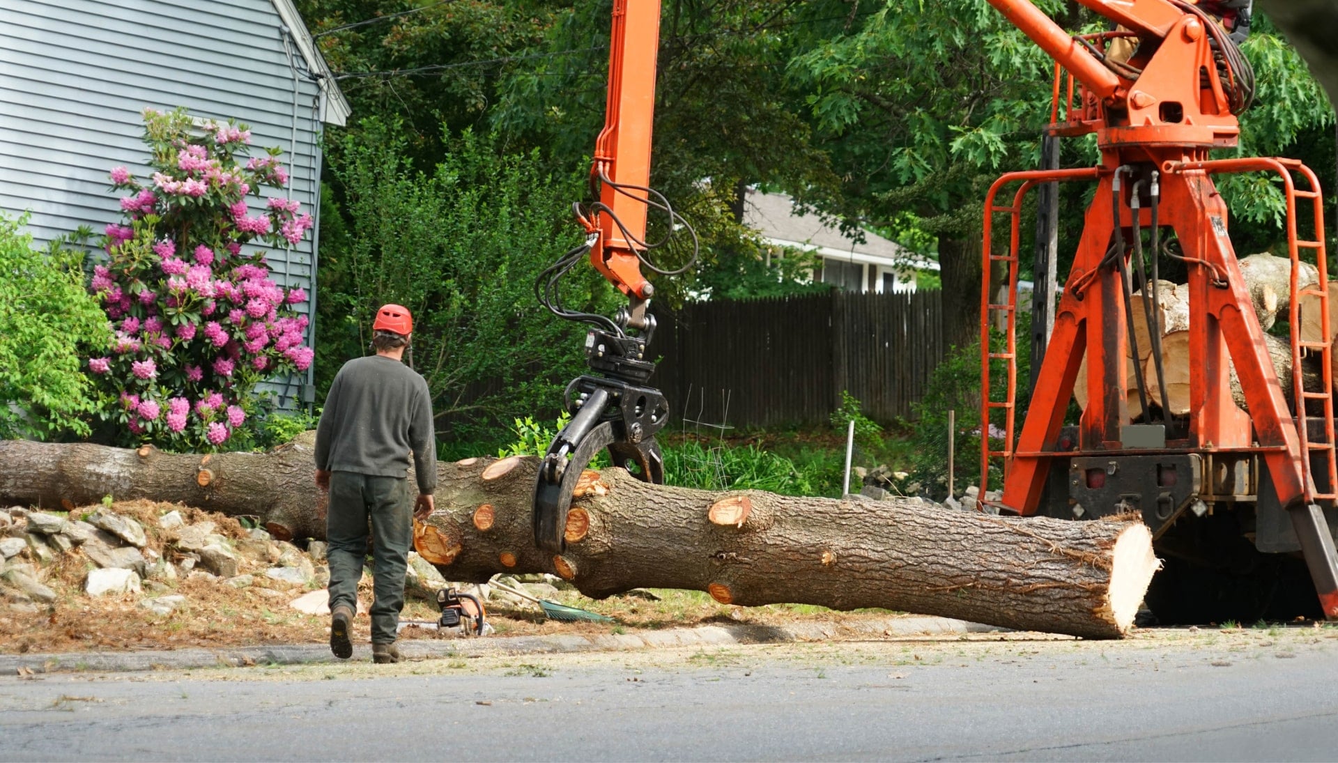 Local partner for Tree removal services in Peachtree City