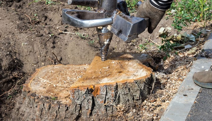 Peachtree City Tree stump removal